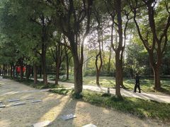 -宋庆龄陵园