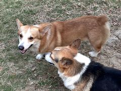 -横琴购口岸商业广场