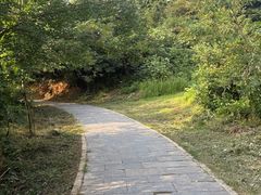 -青龙山国家森林公园