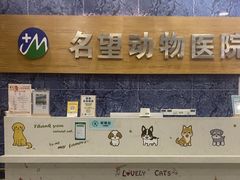 -瑞派名望24h动物医院异宠专科·猫专科·骨科·重症监护分院