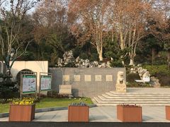 -菊花台公园