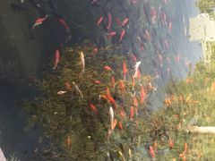 -水磨沟公园