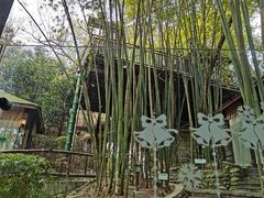 -竹海听涛生态山庄