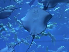 -南昌融创海世界