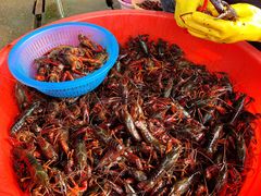 -小李子油焖大虾向阳总店