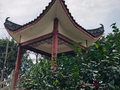 -大渡口区义渡公园