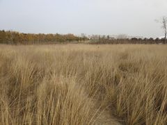 -郑东新区龙湖公共艺术中心
