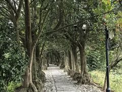 -皤滩古镇