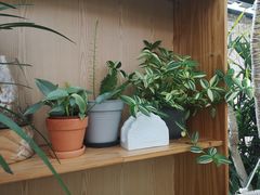-北马山庄植趣咖啡
