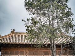 -瞿昙寺