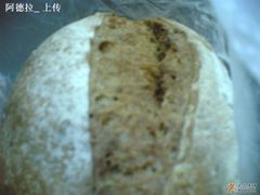 杂谷欧式面包近照-多乐之日(五道口店)