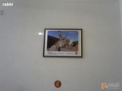 王胖子鼓楼新店面墙上的照片-王胖子驴肉火烧(鼓楼店)