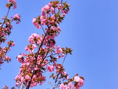 -阳澄湖半岛旅游度假区