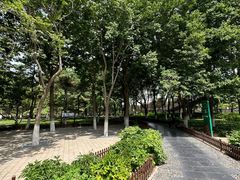 -康庄公园