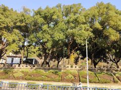 -乌山风景区