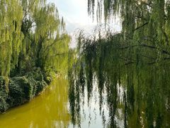 -南翠屏公园