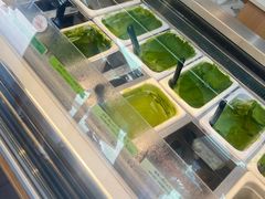 -鎌倉茶々(本店)