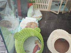 -府学·秋果S酒店(北京南锣鼓巷四合院店)