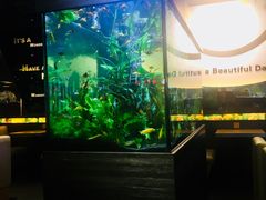 -大家乐(广州中华广场店)