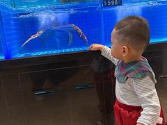 -臻宝中餐厅·大连菜·海鲜·融合菜(大连一方城堡豪华精选酒店)