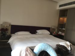 -禧月荟S月子中心(侨城店)