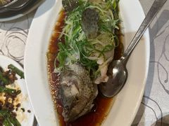 -東海薈。拉斐特(青衣城店)