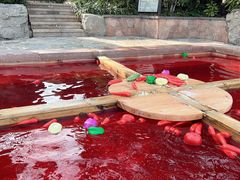 -天目湖涵田半山温泉