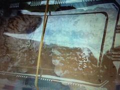 -无影脚佛山陈氏盲公丸始创店(飞鸿街店)