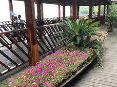 -天目湖山水园