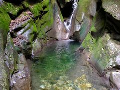 -黑河国家森林公园