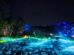 -金沙湖旅游度假区