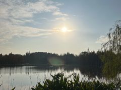 -白鹭湾湿地公园