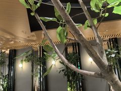 -gaga(深圳京基KKMALL店)