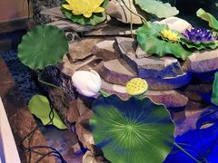 -蕃茄述·好汤自然来(江汉路店)