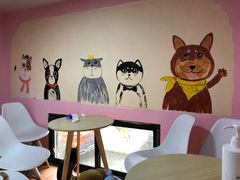 -李小姐の猫咖啡馆(五角场店)