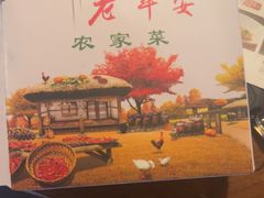 -老平安农家菜(平安店)