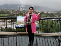 -木乃伊复仇过山车