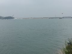 -望湖烤鱼
