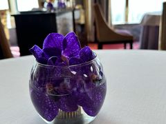 -金轩中餐厅 Jin Xuan(浦东丽思卡尔顿酒店)