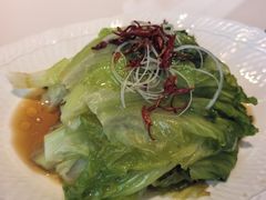 葱油罗马生菜-船歌·鱼水饺青岛菜(枫蓝国际购物中心店)