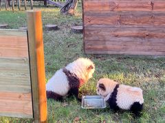-茅山东方盐湖城景区
