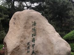 -西苑公园