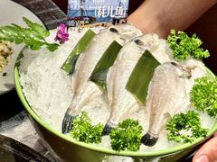 -朱光玉火锅馆(龙阳广场店)