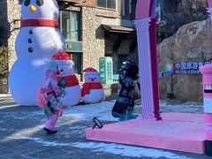 -中旅松花湖滑雪场