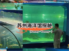 -苏州海洋馆