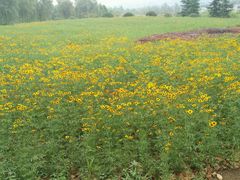 -中国矿业大学（南湖校区）-图书馆