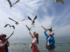 -海驴岛(荣成市)