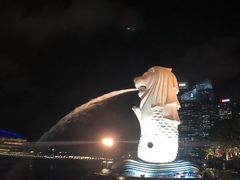 -老伴豆花(麦士威熟食中心店)