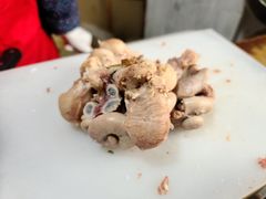 羊胎盘-东山矮马桶羊肉(太湖东山店)
