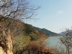 -羚羊峡古栈道森林公园